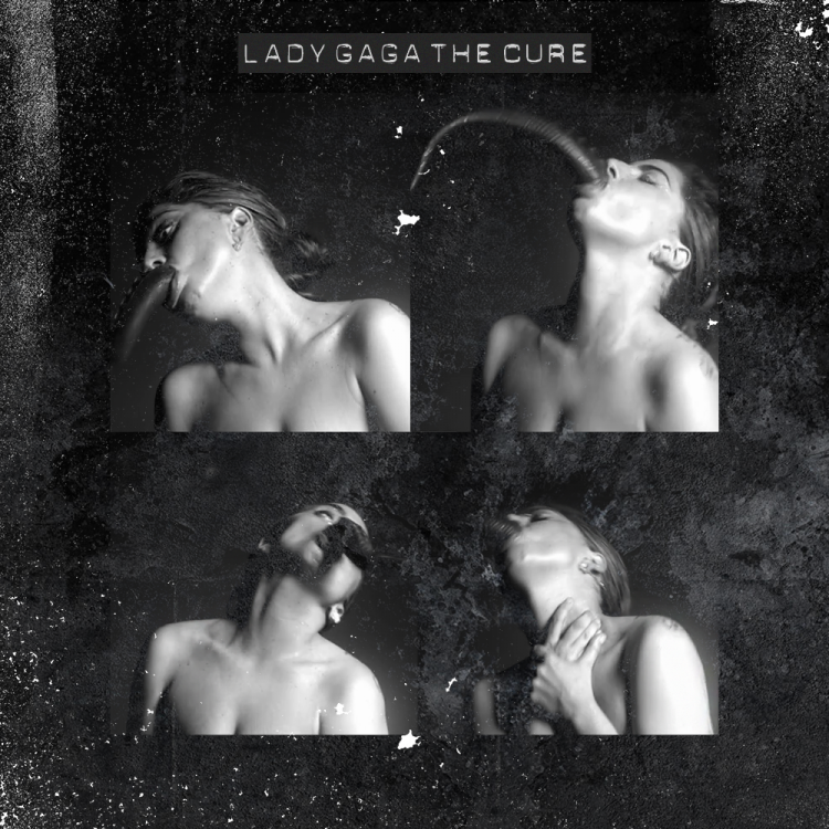 Lady Gaga The Cure.png