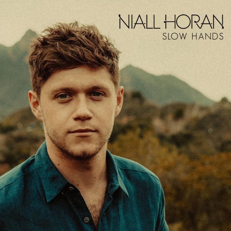 niall_horan___slow_hands_by_summertimebadwi-dbr8qn9.jpg