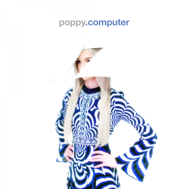 poppy.computer.png
