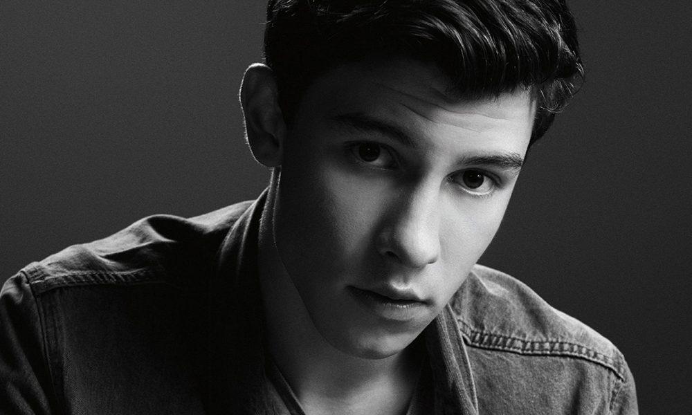 Shawn Mendes Allegedly To Come Out In New Song