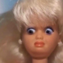 barbiebussy